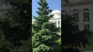 Джума мечеть Махачкалы | парк |