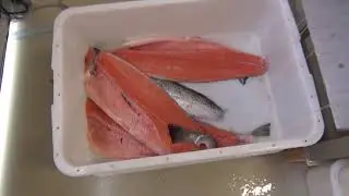 Филетировочная машина для рыбы AGK Maxi