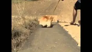 Always go and pick pick, look just want to kick