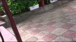 Я катаюсь на скейте сидя :3
