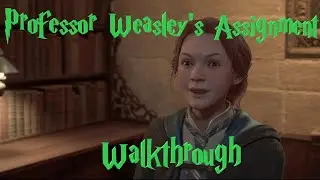 Professor Weasleys Assignment Quiz Answers