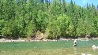 Salmon fishing on the Bonaventure river