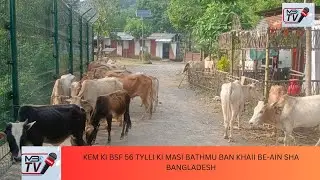 KEM KI BSF 56 TYLLI KI MASI BATHMU BAN KHAII BE-AIN SHA BANGLADESH