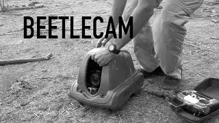 BeetleCam in Land of Giants