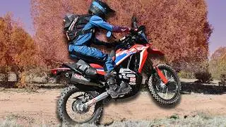 Is This The Best Honda CRF300L Rally?! - Cycle News