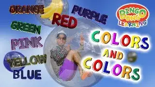 Colors Song for Kids | BINGOBONGO Learning