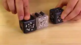 Cubelets Education Seven Robots