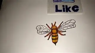 How to Draw a Bee