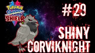A Beautiful Shiny Corviknight In Pokemon Sword/Shield - 3856 Encounters