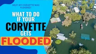 What to do with YOUR CORVETTE after a FLOOD?