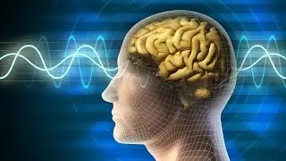 Planet Wissen - Wie Meditation das Gehirn umbaut