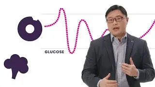 Broccoli vs.  Bagel with Dr. Jason Fung