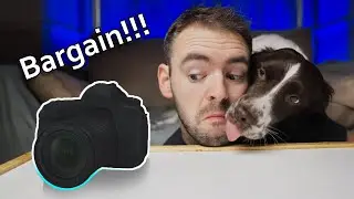 The best budget camera EVER?