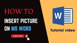 How to Insert Picture on MS Word || MS Word for Beginners
