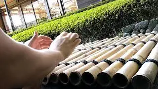 Drumming in Japan Gardens | Tokyo