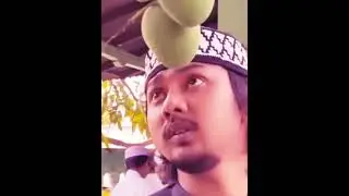 meme absurd