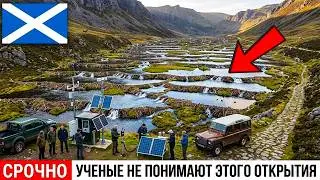 Шотландия вернула 11 бобров в мертвую реку: результат из грязи и палок поразил инженеров
