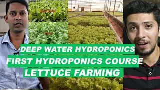 Deep Water Hydroponic Farming In India★First Hydroponics Course★Organic Lettuce Farming in India