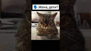 мужики узнали себя?)🤣🤣🤣 #похмелье #бадун #утро #жена #допрос