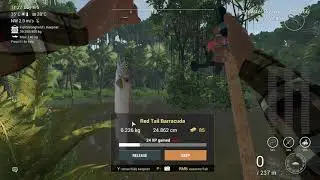 Fishing Planet   Bolivia   Marron River   Red Tail Barracuda