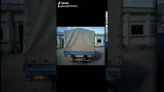 фав 1031