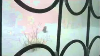 Небывалые осадки  в Комсомольск на Амуре   Анамалия