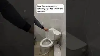 Затопленные улицы! Вонь! Почему и от чего это происходит – Чистый Сток