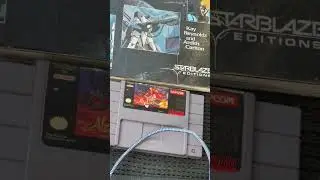 Paying Up at Pawn #pawnshopfinds #robotech #gamecollecting #snes #godfather #ps3 #retrogames #anime