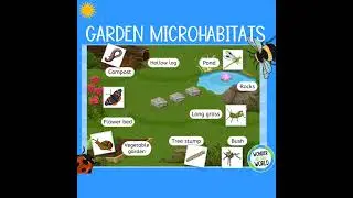 Do you know Types of Habitat?🤔