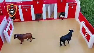¡¡ El más impresionante corral de toros grandes que vas a encontrar¡¡