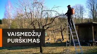 Pavasarinis vaismedžių purškimas