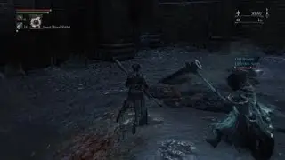 Bloodborne vs Darkbeast Paarl