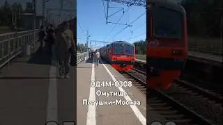 🇷🇺Прибытие поезда ЭД4М-0308 "Петушки-Площадь трёх вокзалов" на платф. "Омутище" Горьковского напр.