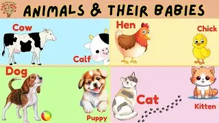 Learn Animals and Their Babies / Young Ones | Animals Vocabulary |  Primary Education #PreSchool