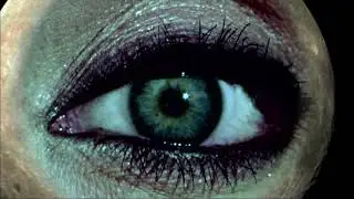 The Universe - The Moon