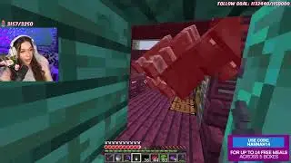Fundy KILLS MY PET on Dream SMP