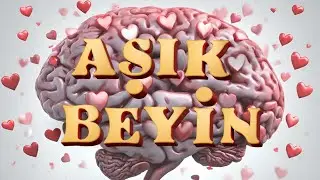 AŞK BEYNİMİZE NE YAPIYOR? ROMANTİK AŞK VE ANNE SEVGİSİ