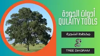 Tree diagram مخطط الشجرة - الجزء الثاني