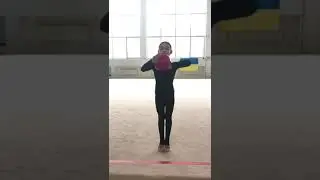 Ball apparatus 1(1)