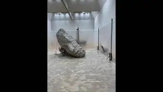 マーク・マンダースの不在 / The Absence of Mark Manders