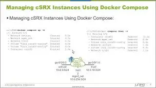 cSRX Docker Compose