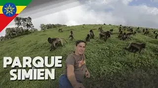 Retozando con MONOS en SIMIEN park ETIOPÍA (MibauldeblogsTV)