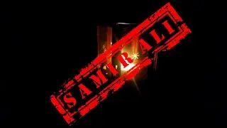 МОЁ МНЕНИЕ О SAMIR ALI