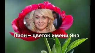 Пион – цветок имени Яна