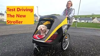 Innopet Hercules 2.0 XL Dog Stroller - Full User Review