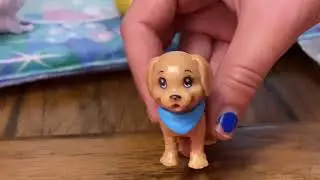 Pets