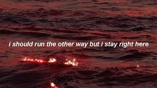 fool for you // snoh aalegra (lyrics)