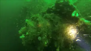 Koln, light cruiser wreck dive, Scapa Flow
