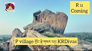 P village གྲོང་སྡེ་གསར་པ།།།  KRDivas @Lharden77 ​ #tibetan #tibetanvlogger #youtube #india