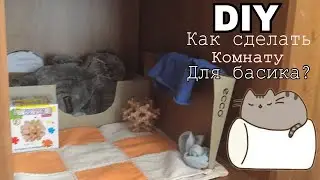 Как сделать уголок или комнатку для басика?//Спасибо за 10+ Подписчиков!!!